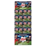 Colis Display Mr Brownie World Cup